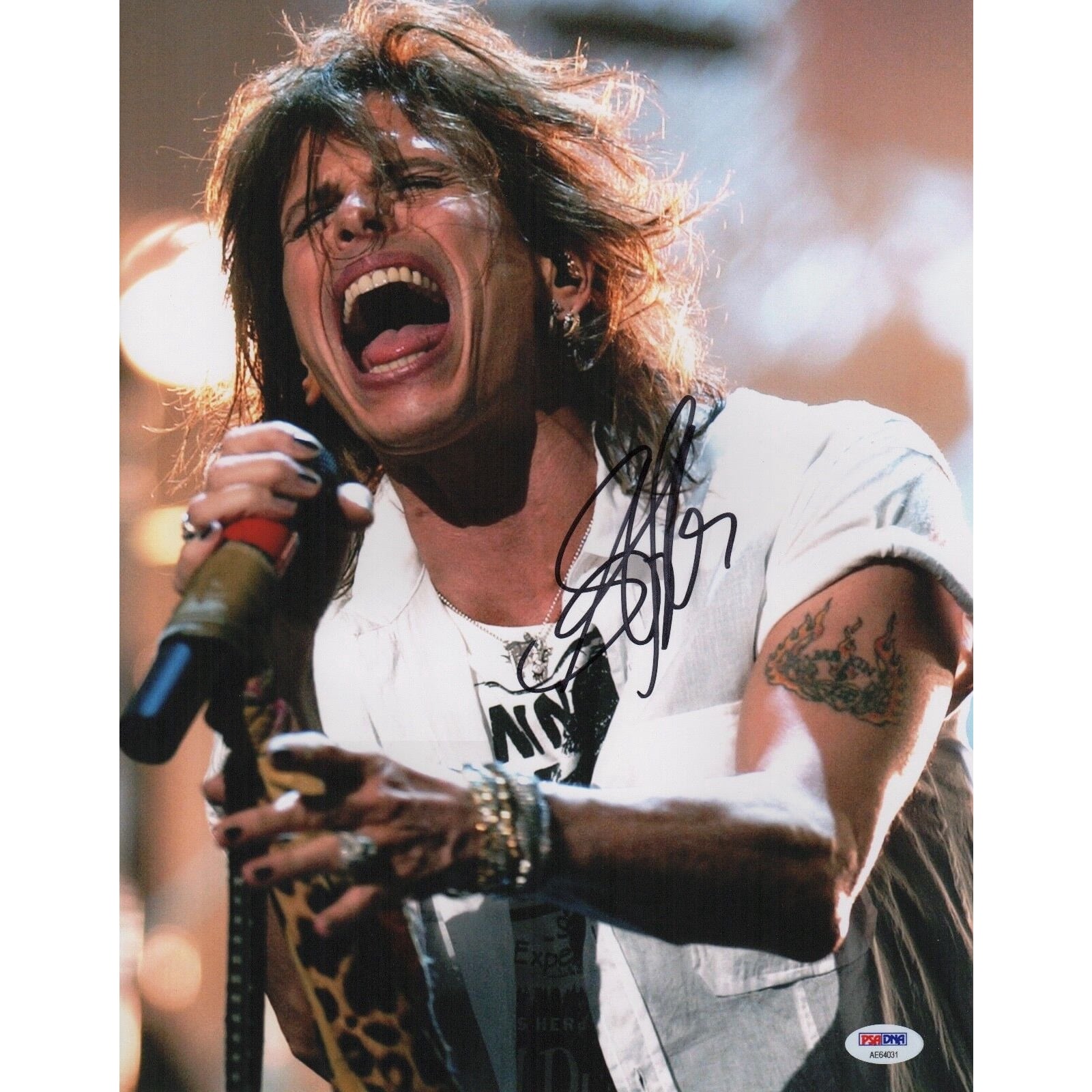 Steven Tyler Screaming