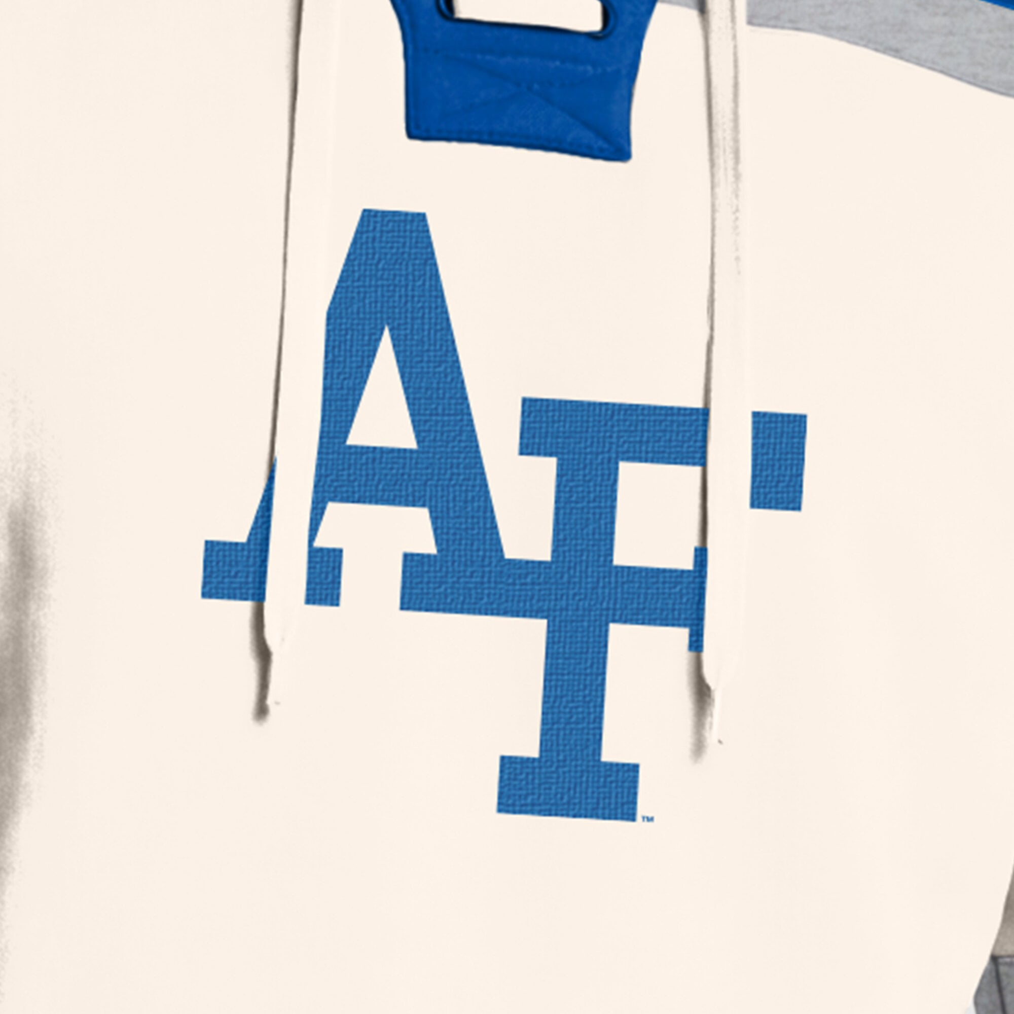 Sweat à capuche en polaire Champion White Air Force Falcons Lacer pour homme