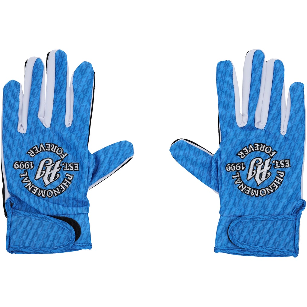 AJ Styles WWE Autographed Black/Blue Replica Glove Set