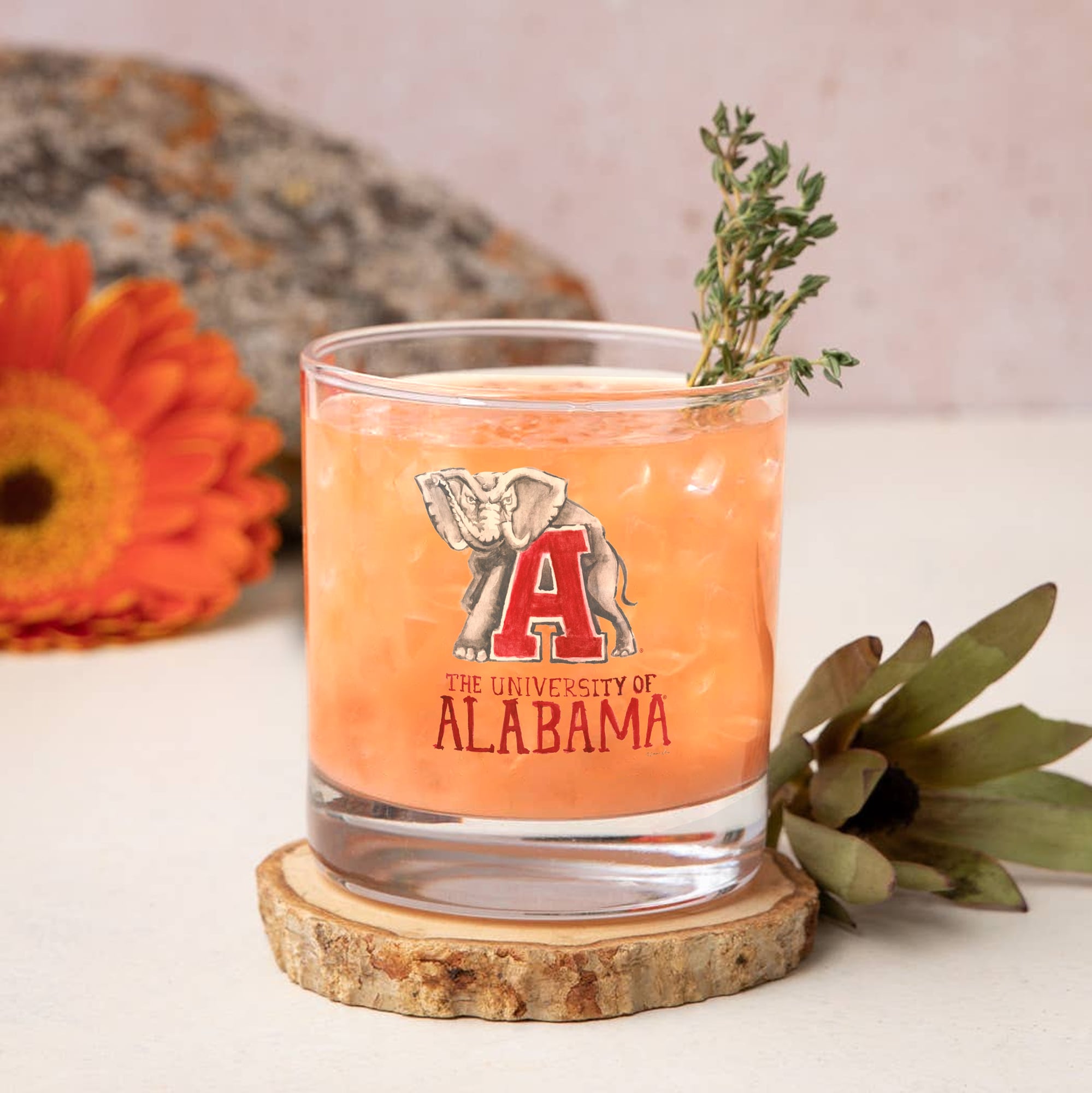 Ensemble de 2 verres à whisky à l'effigie de Laura Wilcox, mascotte des Crimson Tide d'Indigo Falls, Alabama.