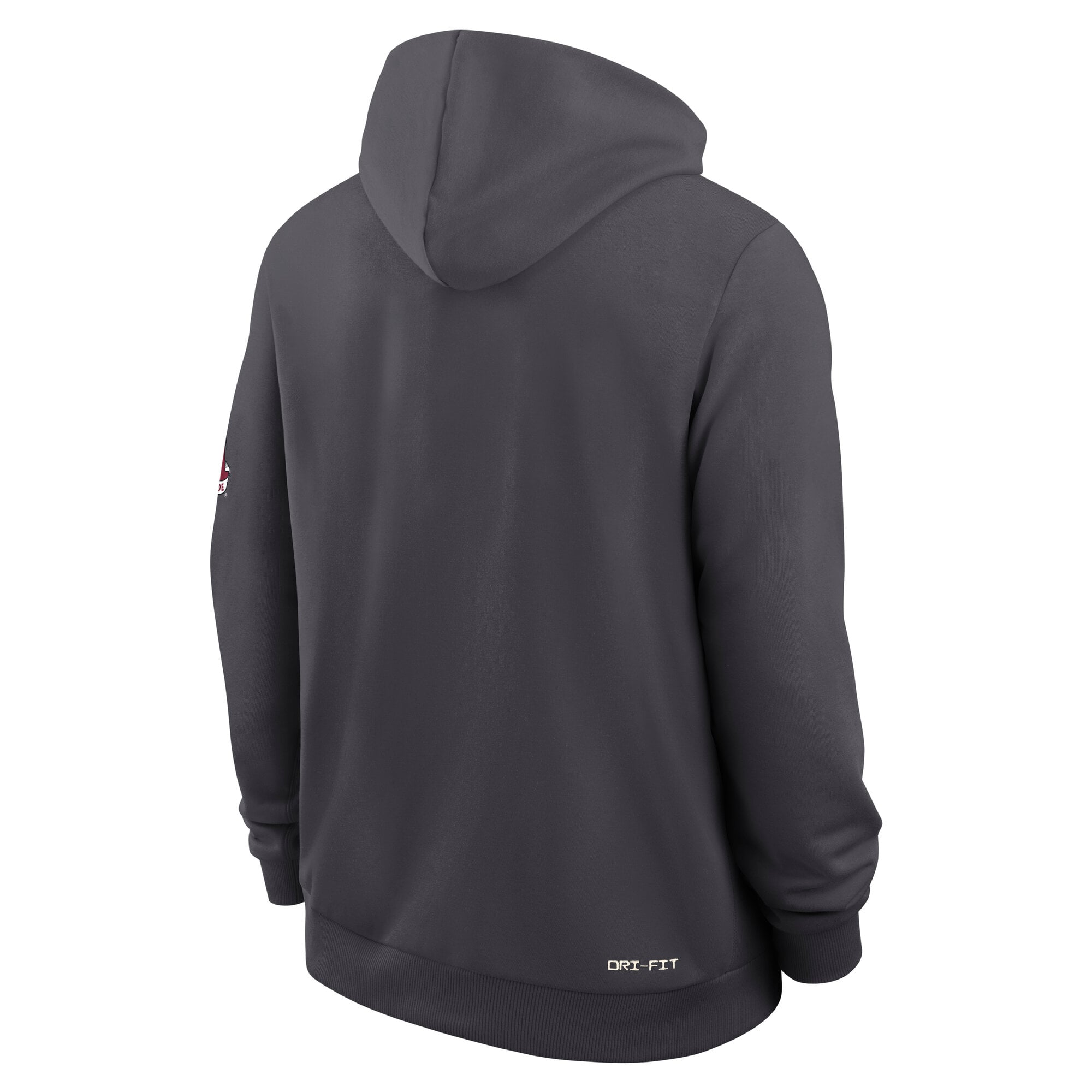 Men's Nike Black Alabama Crimson Tide 2026 Sideline Standard Issue Dri-FIT Hoodie