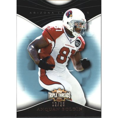 2009 Topps Triple Threads Sapphire #71 Anquan Boldin