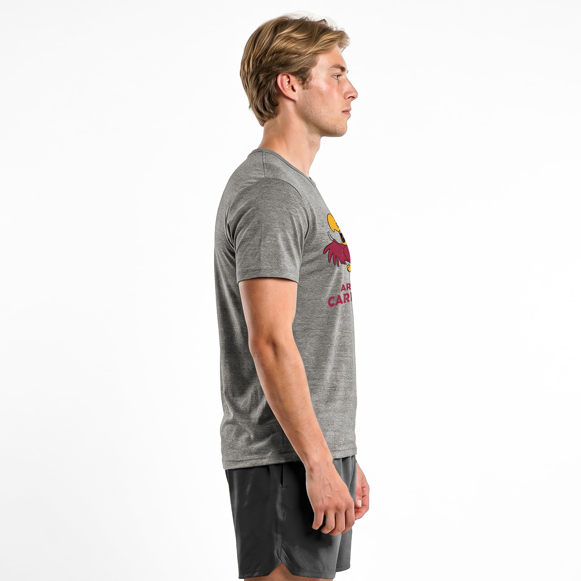 Men's Disney x Champion Gray Arizona Cardinals Iago Tri-Blend T-Shirt