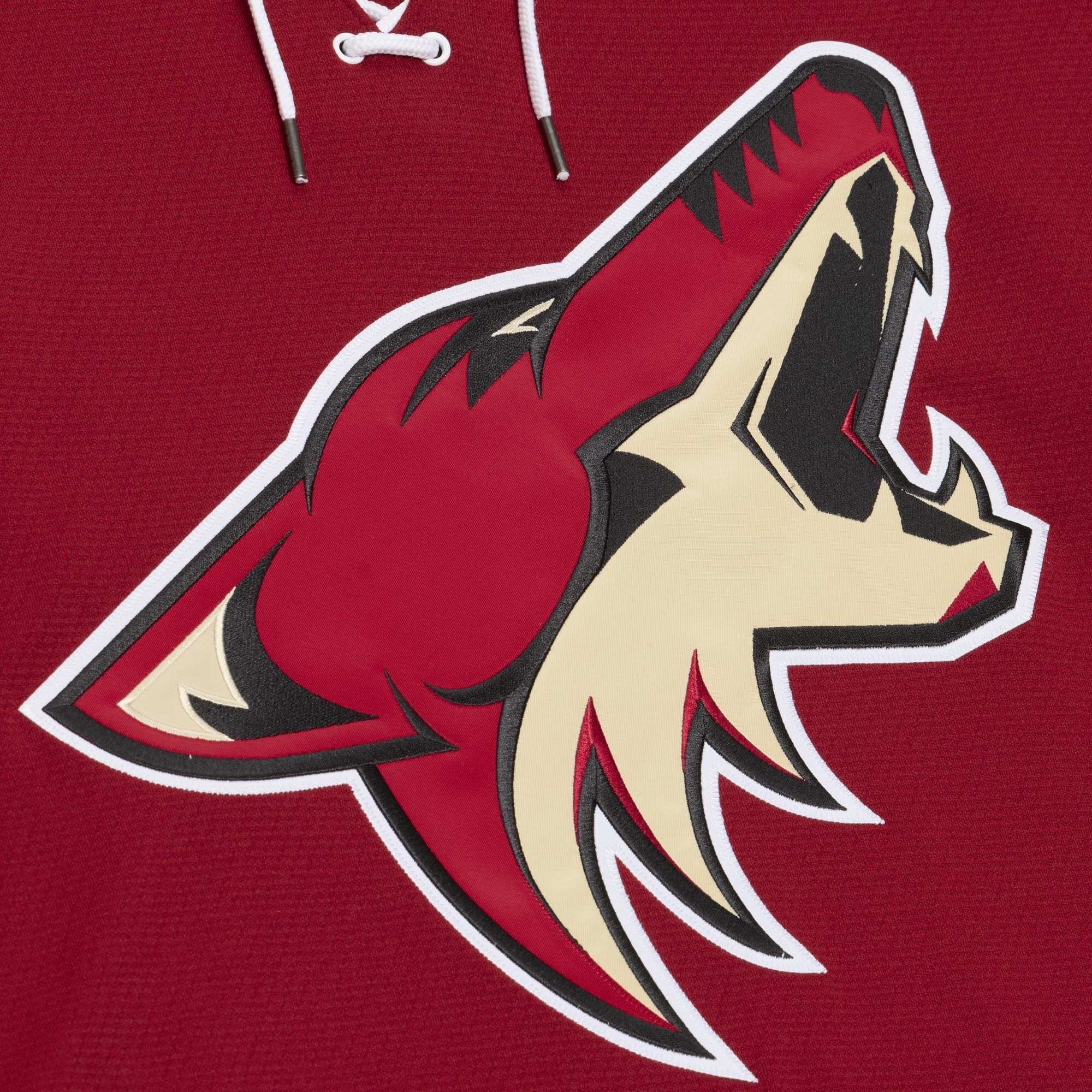 Men's Mitchell & Ness Paul Bissonnette Garnet Arizona Coyotes 2011/12  Power Play Jersey