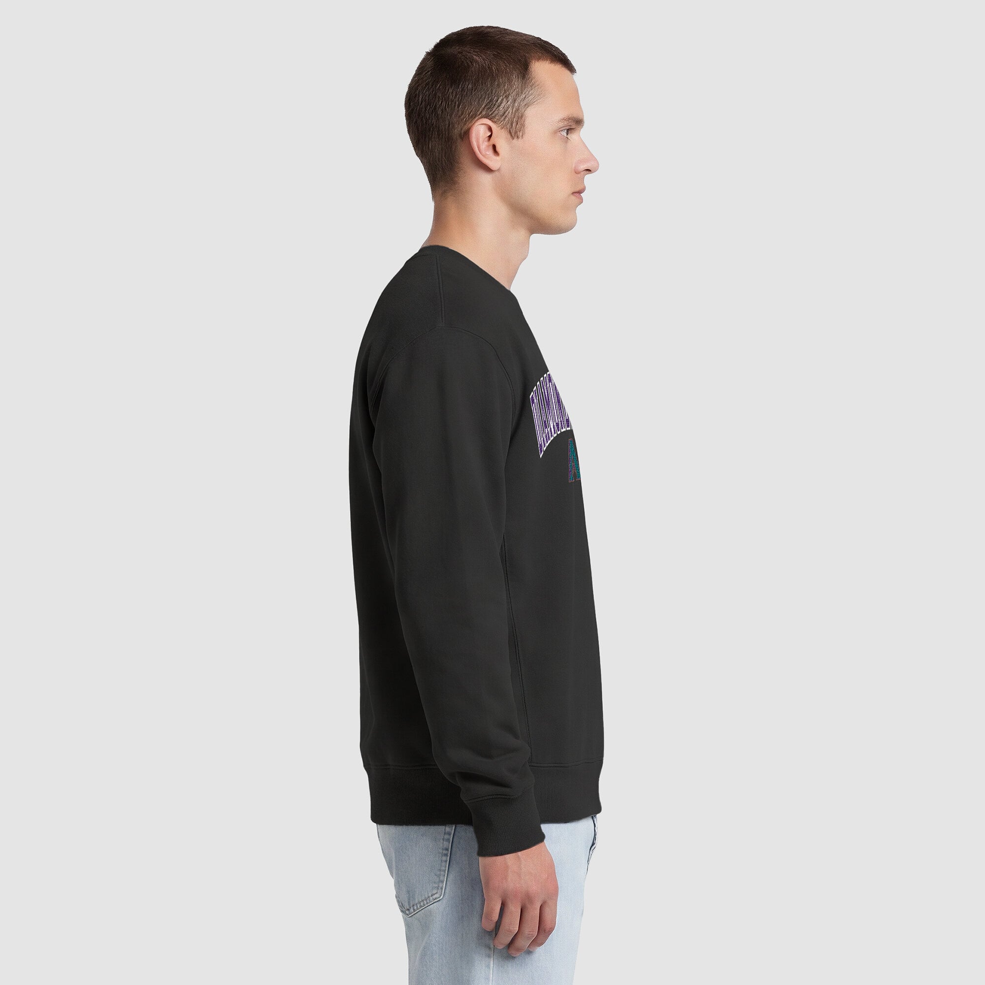 Men's Champion  Black Arizona Diamondbacks Fleece Crew Sweatshirt