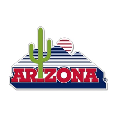 Arizona Wildcats WinCraft College Vault Collector Pin