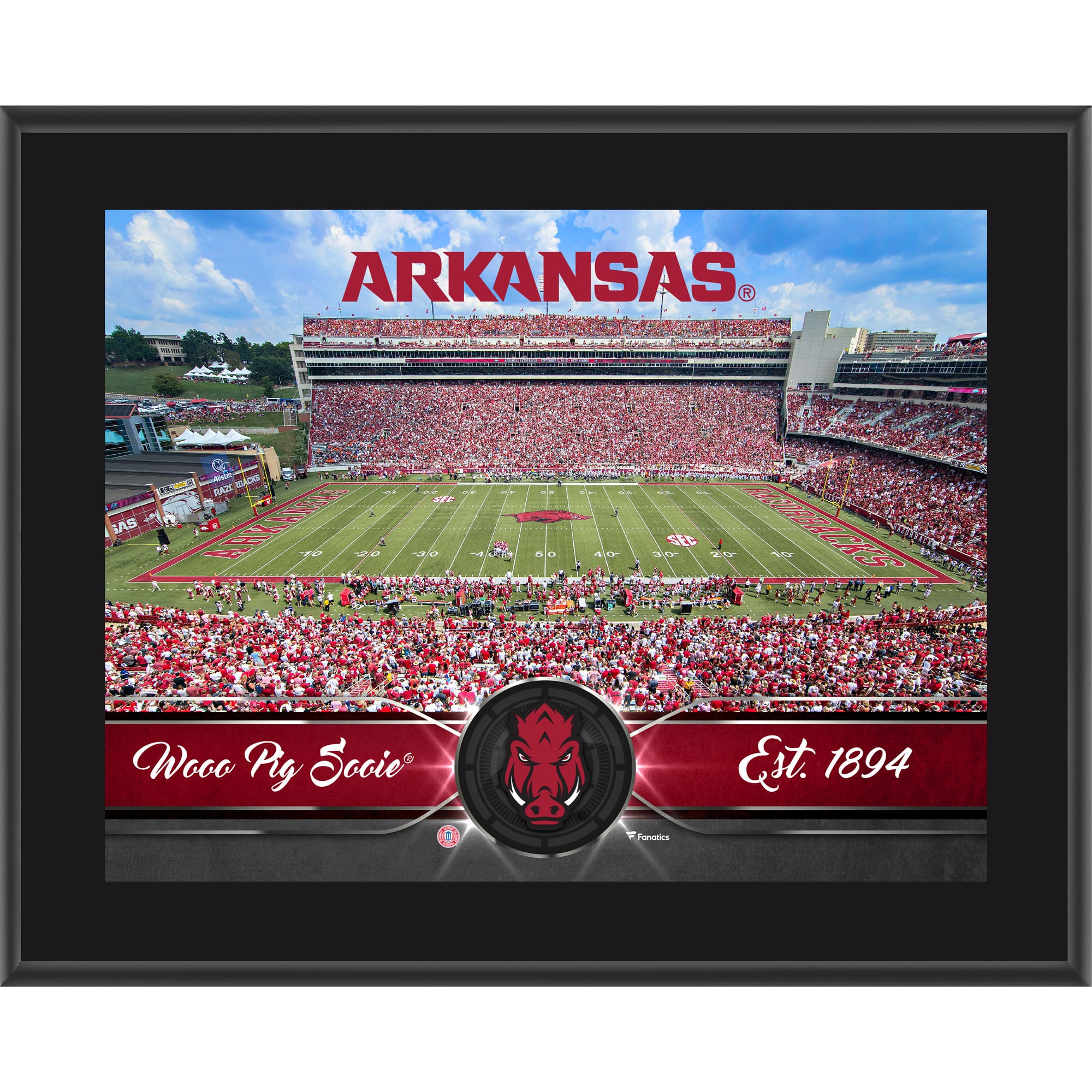 Arkansas Razorbacks 10.5