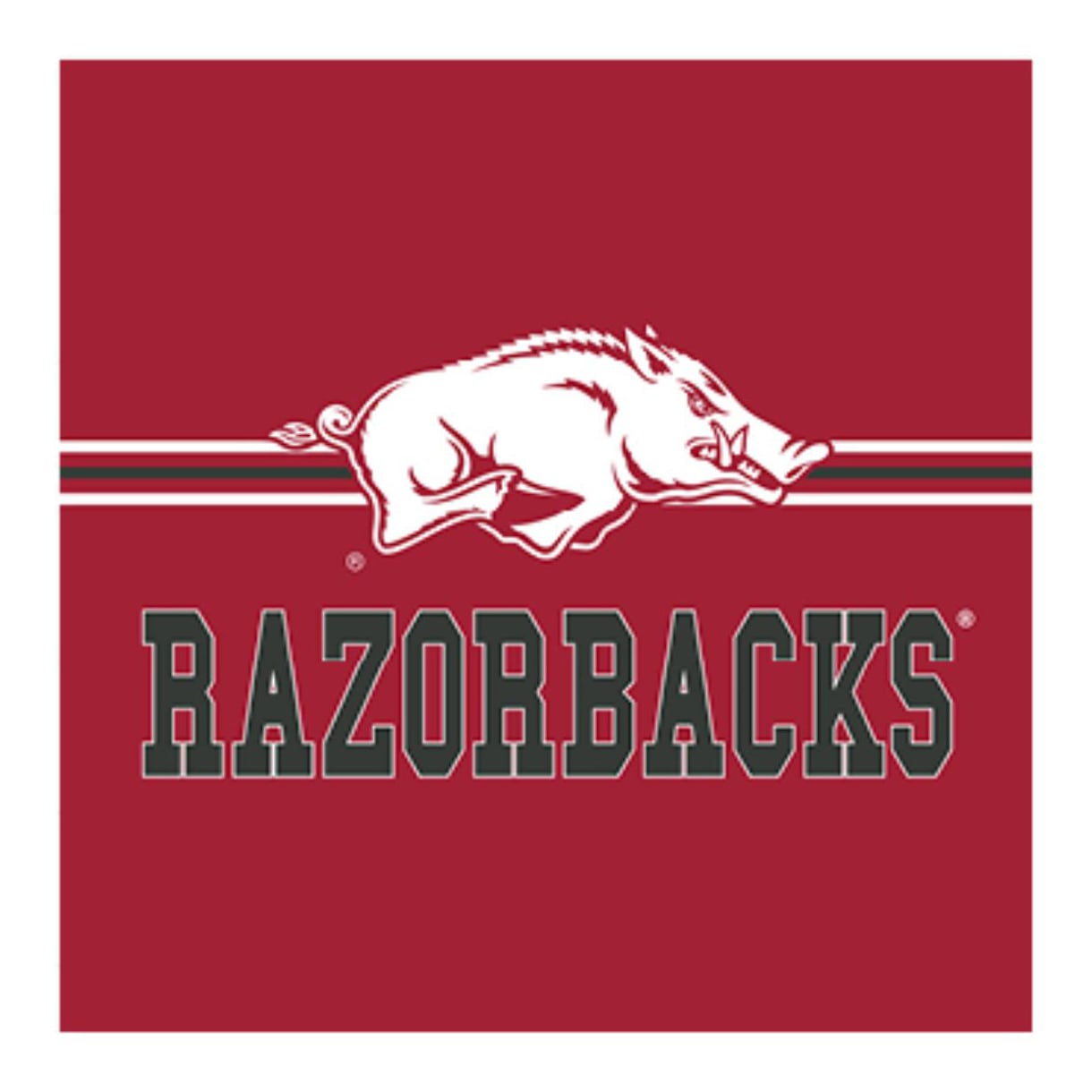 Walmart Razorback Sign Arkansas Razorbacks 12