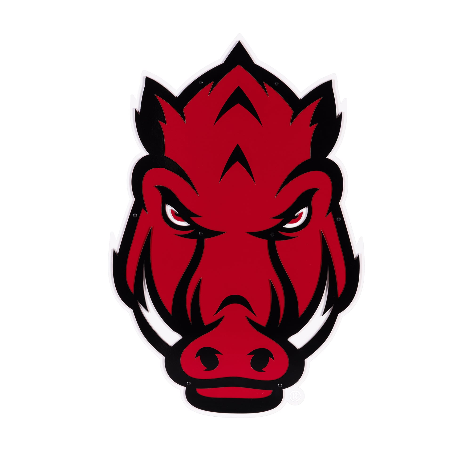 Arkansas Razorbacks 23