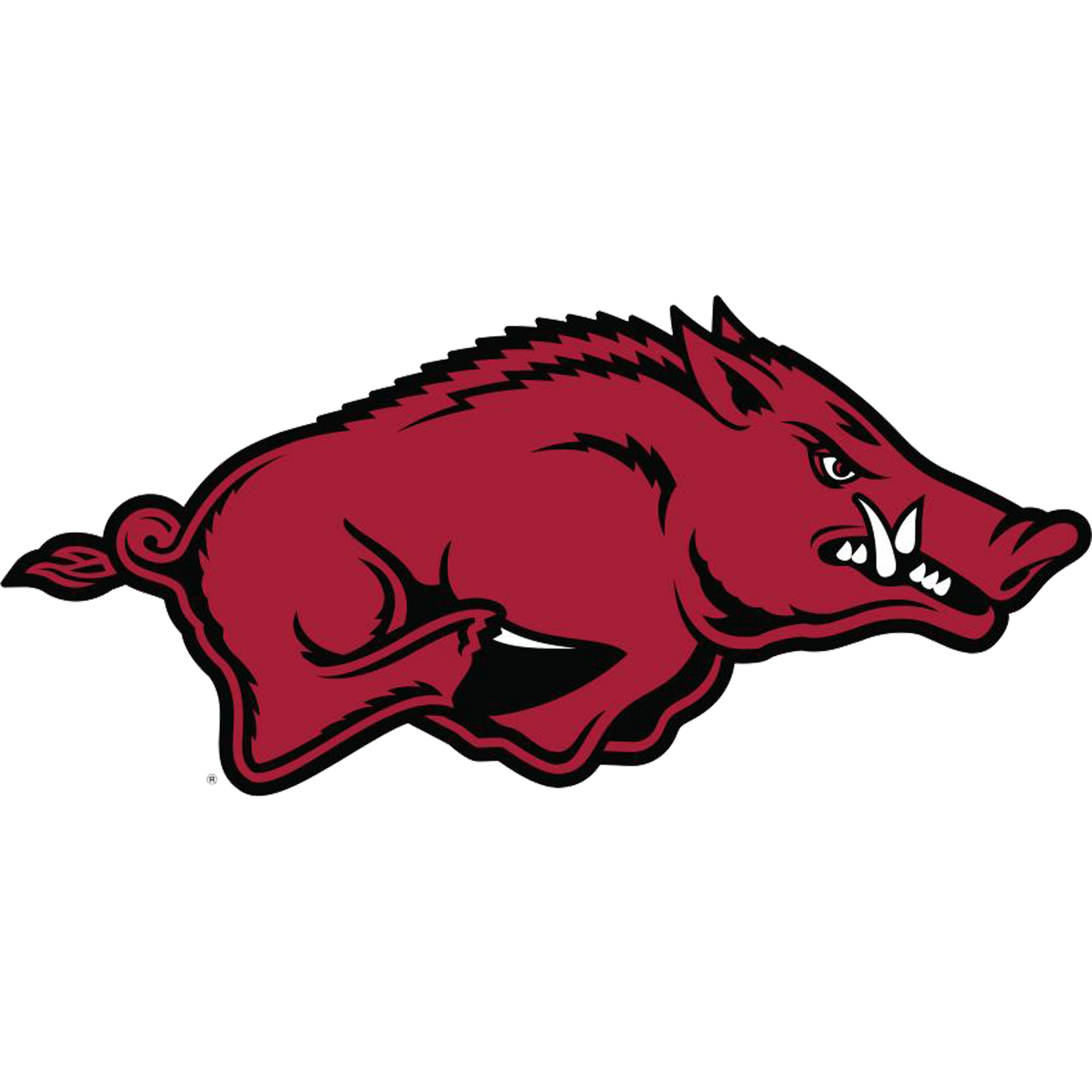 Realistic Razorback Giant Razorback Animal