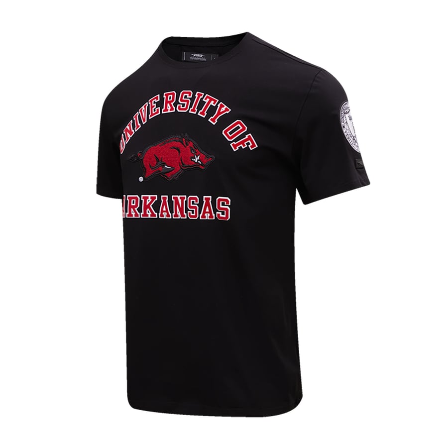 Black Razorback Black Razorback Tattoos Razorback Boar Black And White Stock Photos