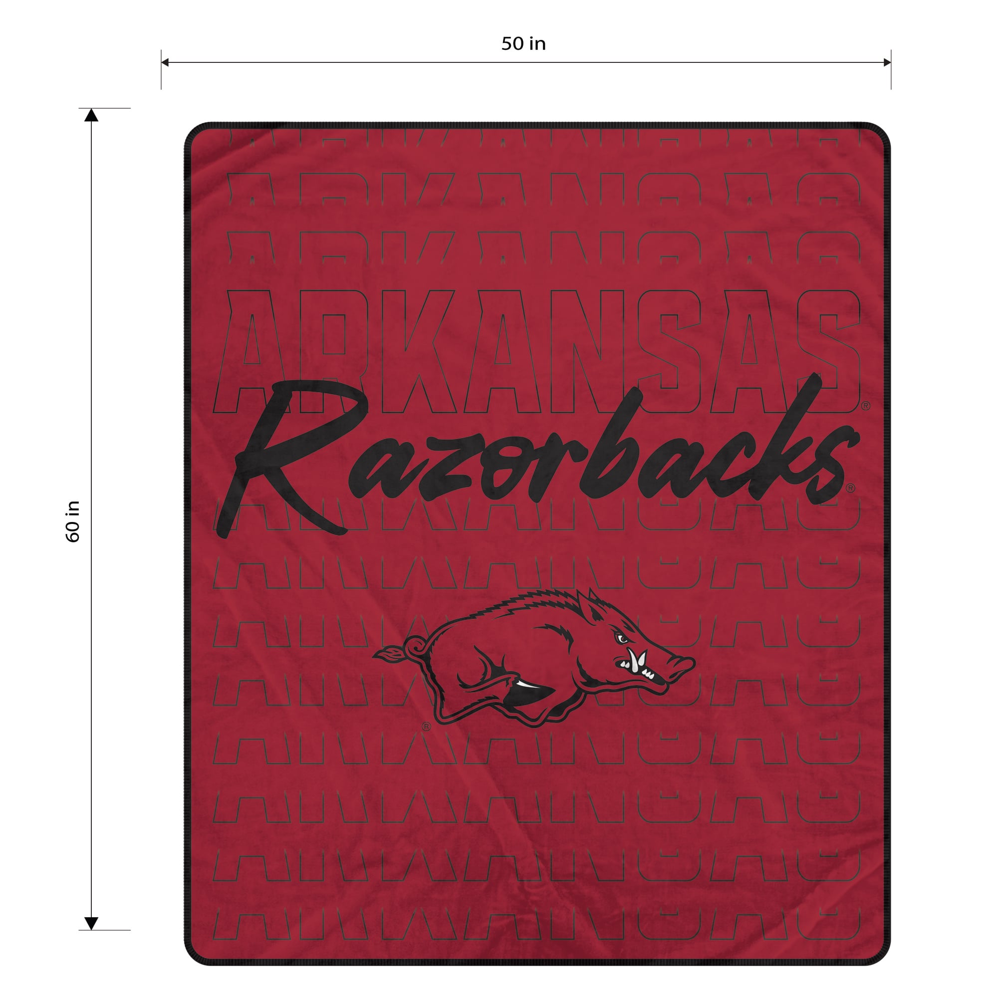 Pegasus Arkansas Razorbacks Echo Script Fade 50" x 60" Ultra Soft Throw Blanket