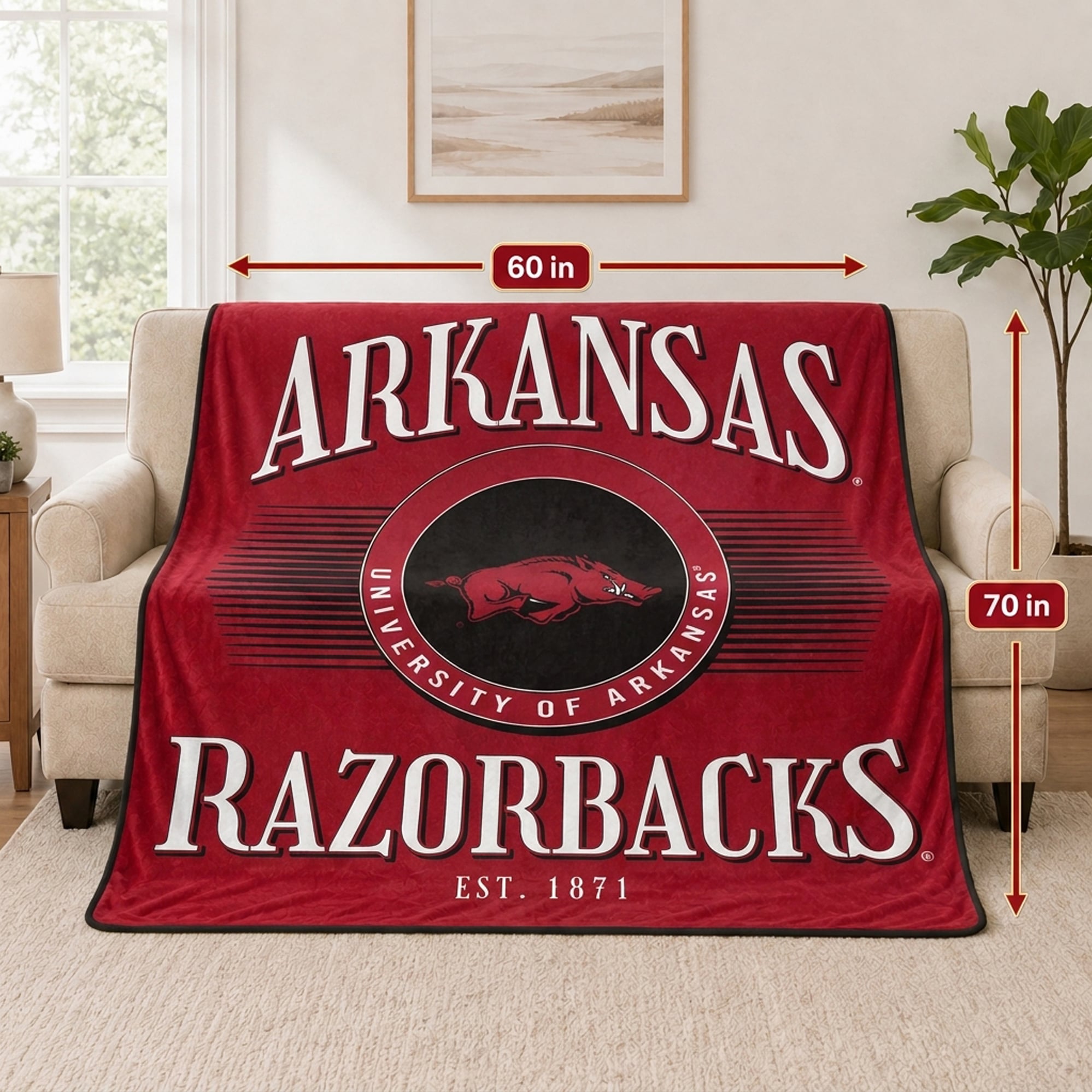 Couverture ultra douce Pegasus Arkansas Razorbacks Spotlight Arch 60" x 70"