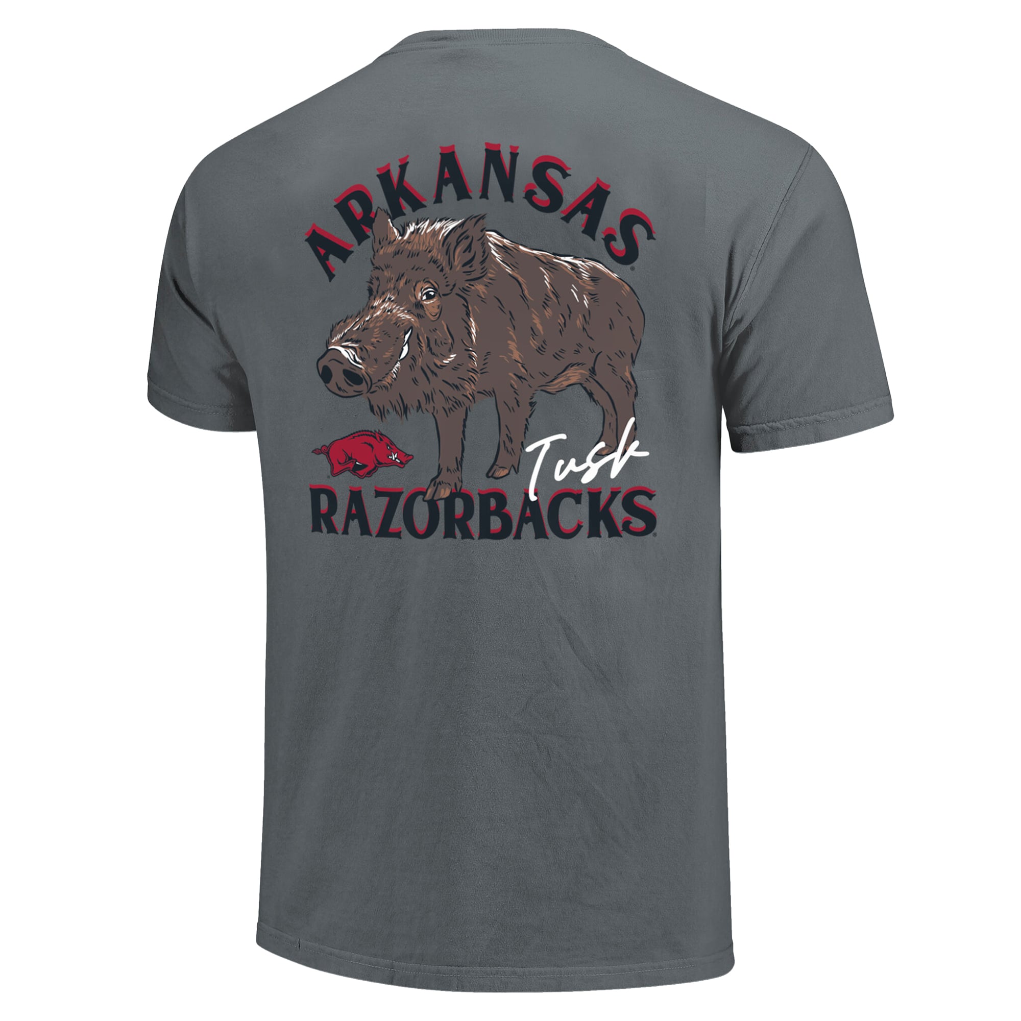 Unisex Image One Maroon Arkansas Razorbacks Hyper Local Campus Statue T-Shirt