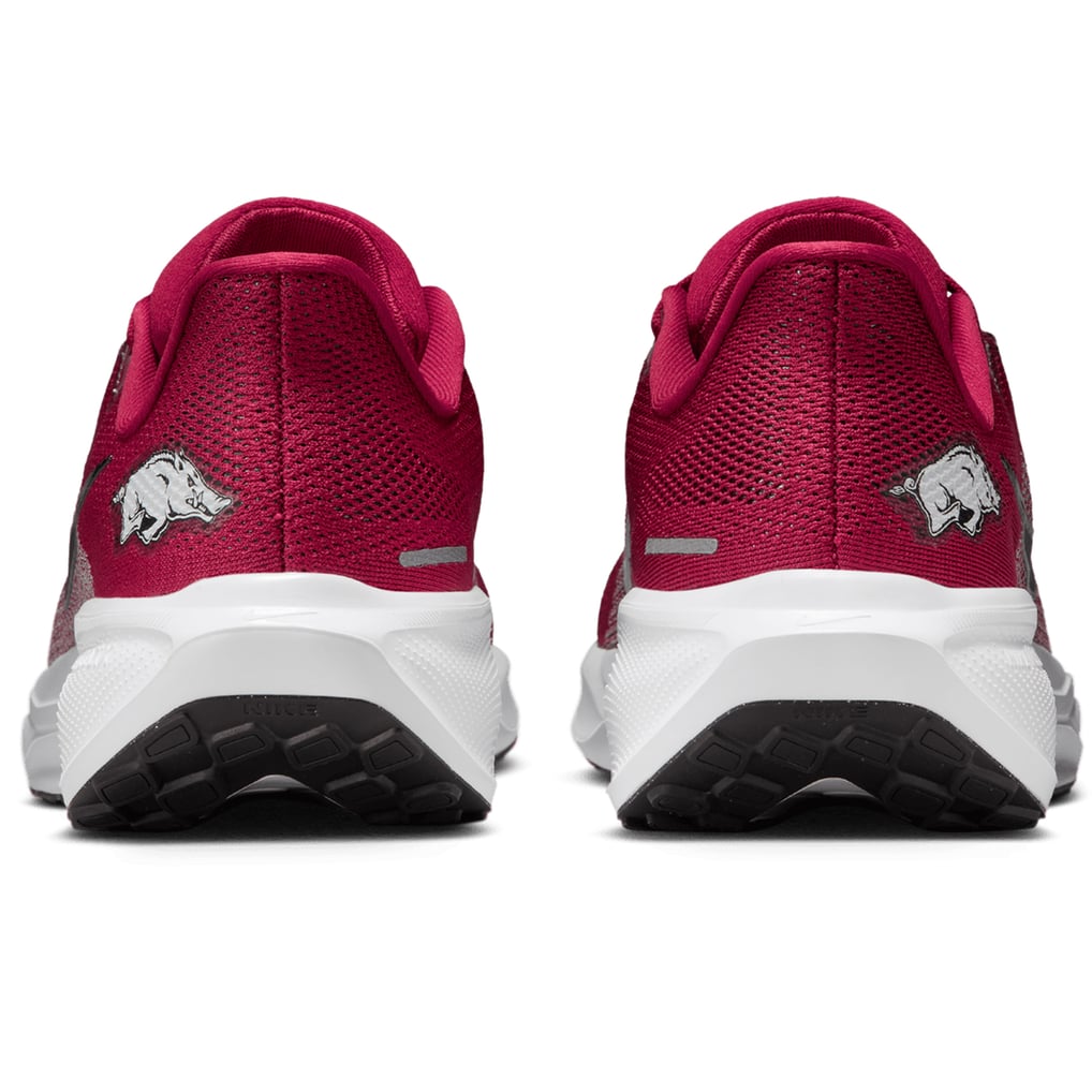 Unisex Nike Cardinal Arkansas Razorbacks Zoom Pegasus 41  display picture 1