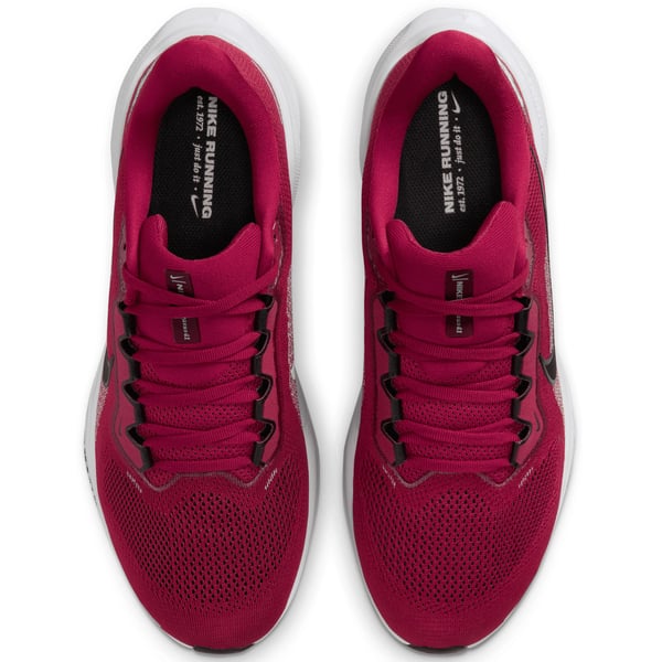 Unisex Nike Cardinal Arkansas Razorbacks Zoom Pegasus 41  display picture 1