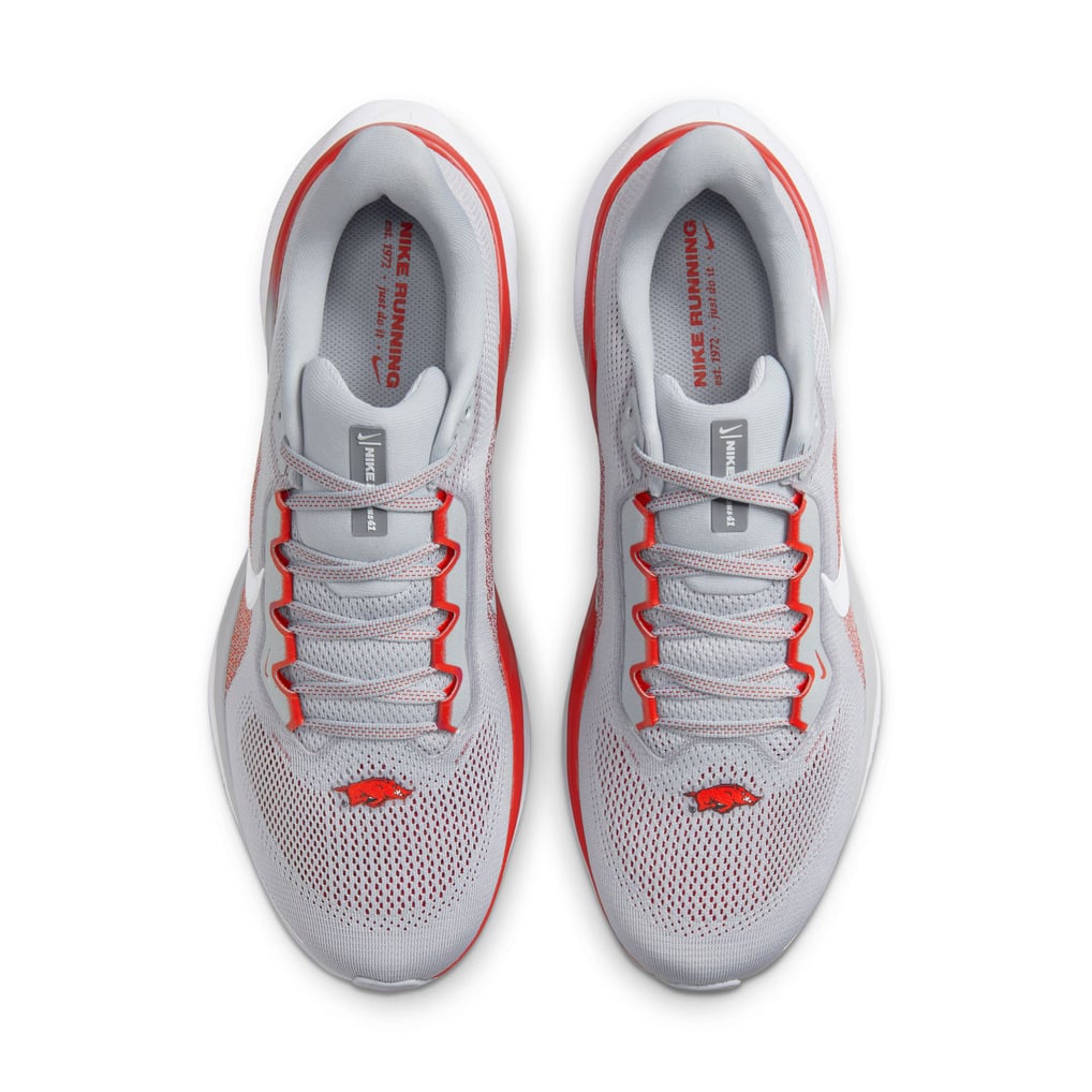 Unisex Nike Gray Arkansas Razorbacks Zoom Pegasus 41 Running  display picture 2