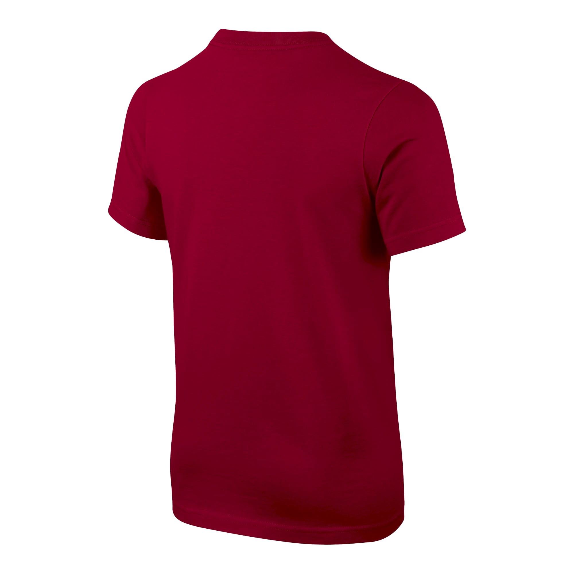 Youth Nike Cardinal Arkansas Razorbacks Logo T-Shirt
