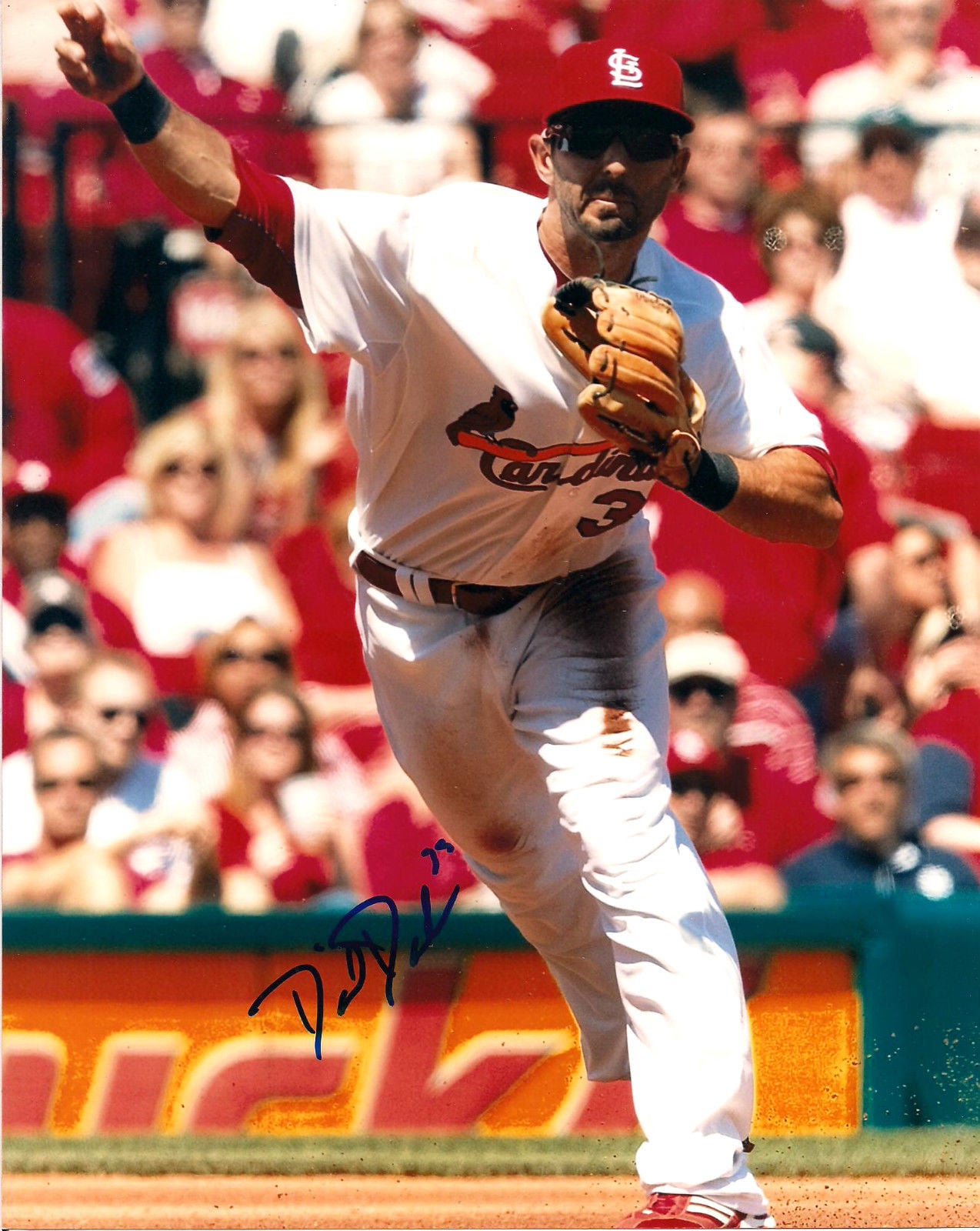 Daniel Descalso Cardinals