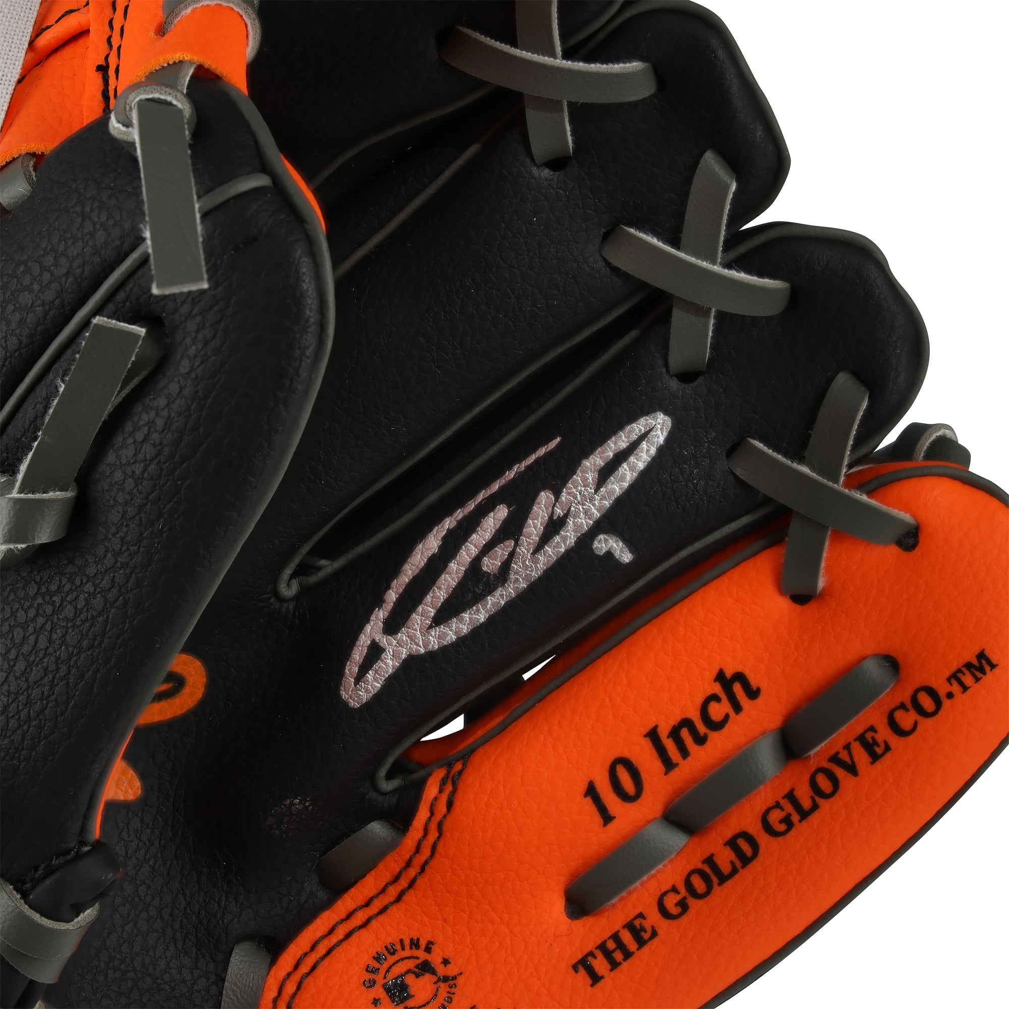Jackson Holliday Baltimore Orioles Autographed Rawlings 10" Collectible Team Logo Glove