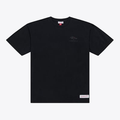 Baltimore Ravens Mitchell & Ness Core Essentials Micro Logo T-Shirt - Black
