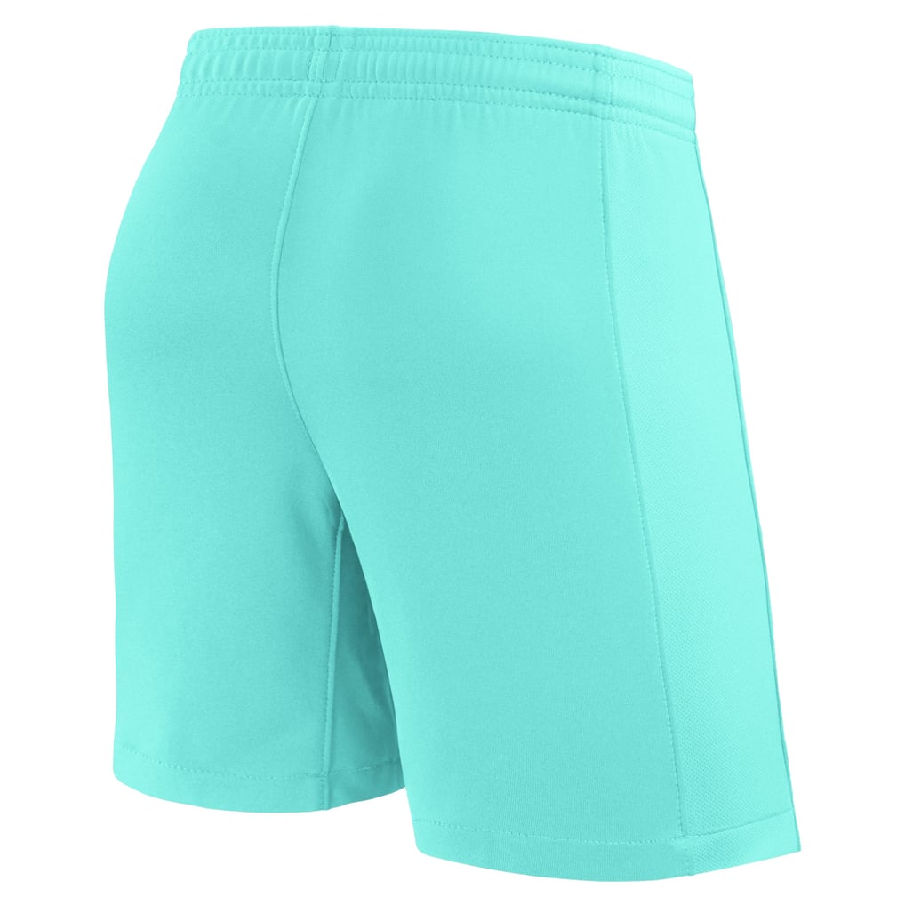Barcelona Nike Third Stadium Shorts 2023-24 - Womens