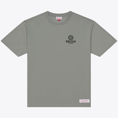 Boston Bruins Mitchell & Ness Core Essentials T-Shirt - Gray
