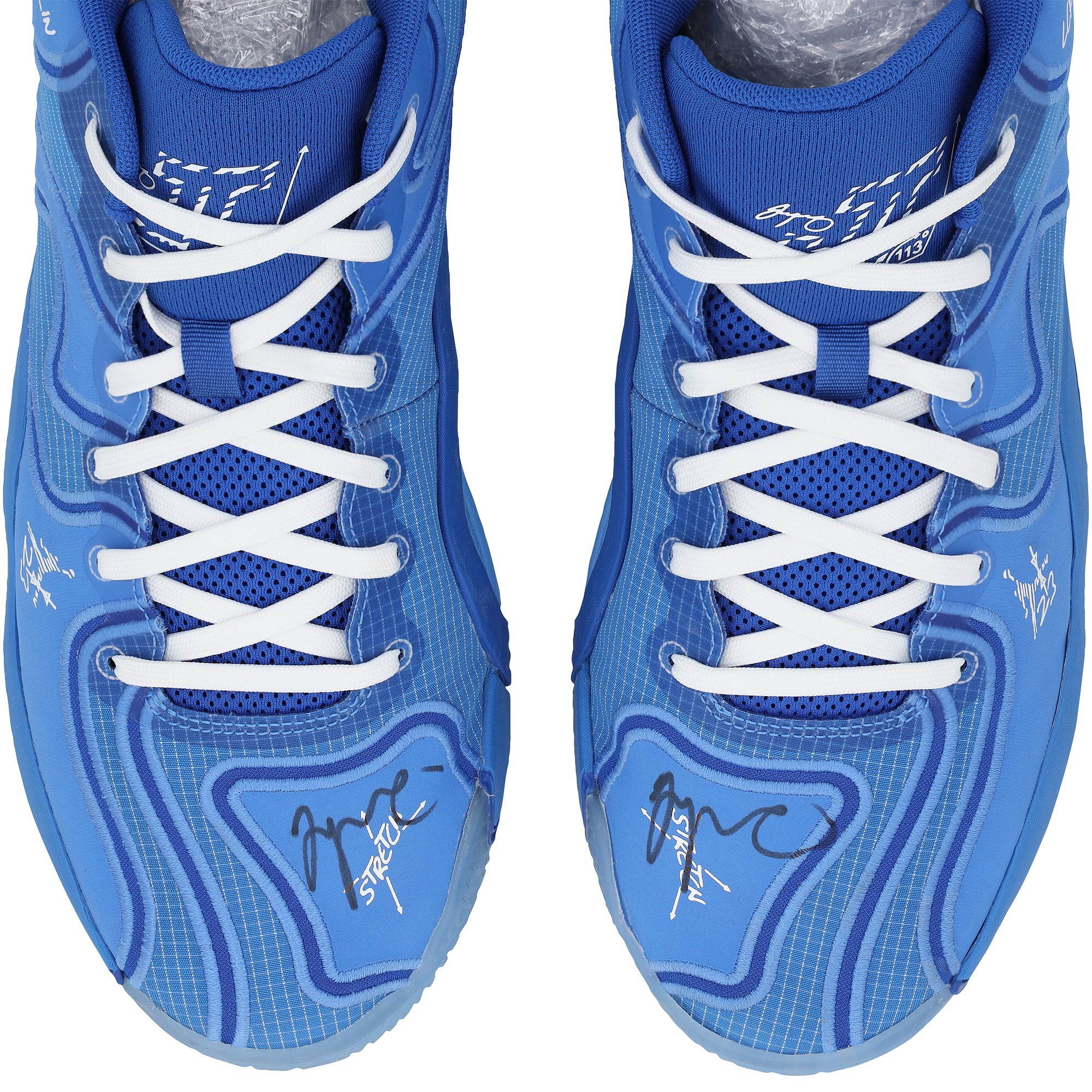 Chaussures Jordan bleues autographiées portées par Jayson Tatum (Boston Celtics) lors du match contre les New York Knicks le 23 février 2025