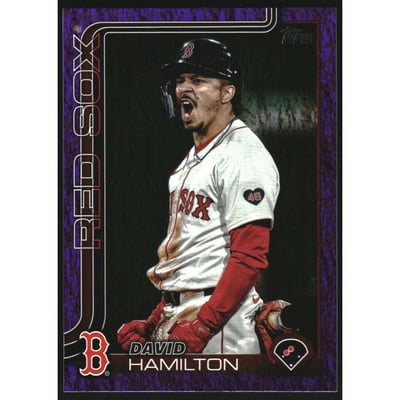 2025 Topps Purple Holo Foil #199 David Hamilton