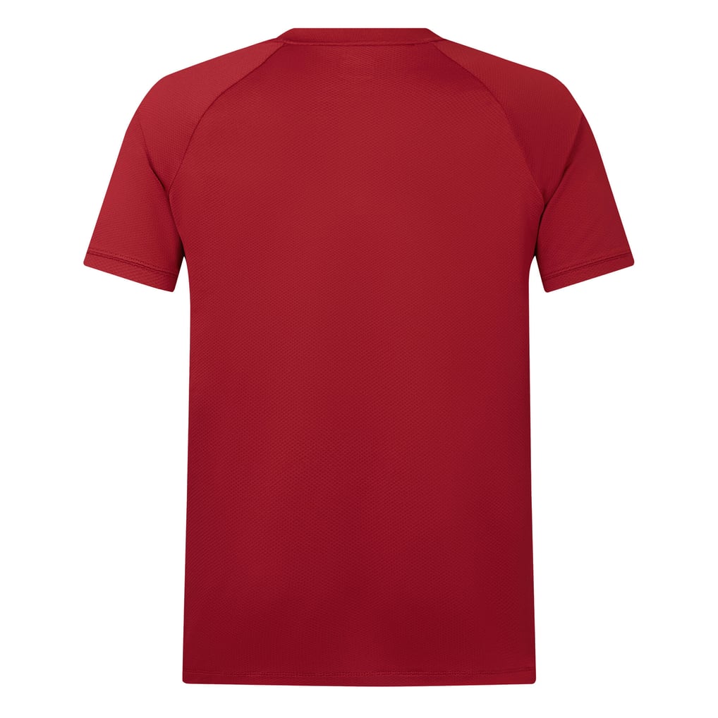 British & Irish Lions Poly Polo - Red