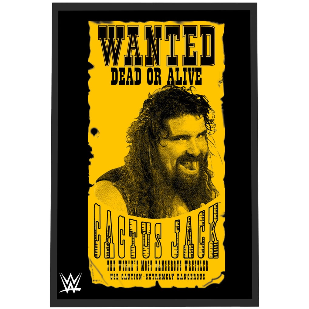 POP! WWE Cactus Jack – Vinyl-Figur Mit Mülleimer & Emaille-Pin – Special Edition Für Sammler