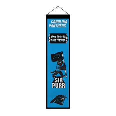Carolina Panthers 8" x 32" Icons Banner
