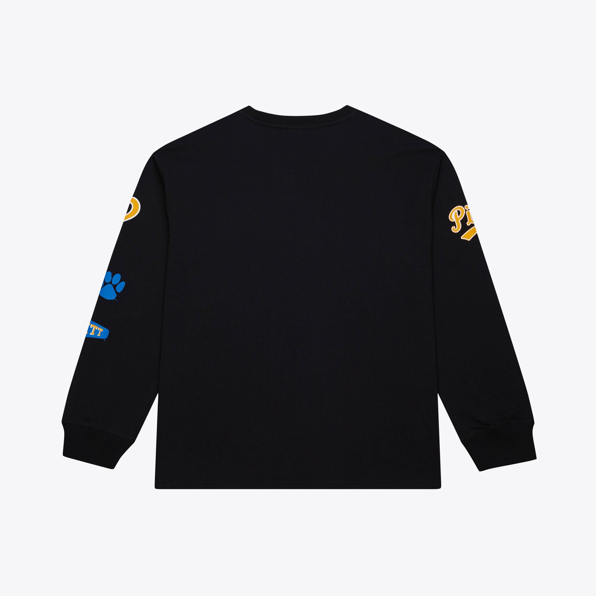 Men's Mitchell & Ness  Black Carolina Panthers Big Tall Training Camp Long Sleeve T-Shirt