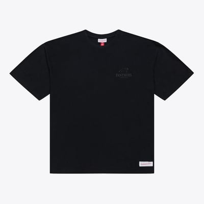Carolina Panthers Mitchell & Ness Core Essentials Micro Logo T-Shirt - Black
