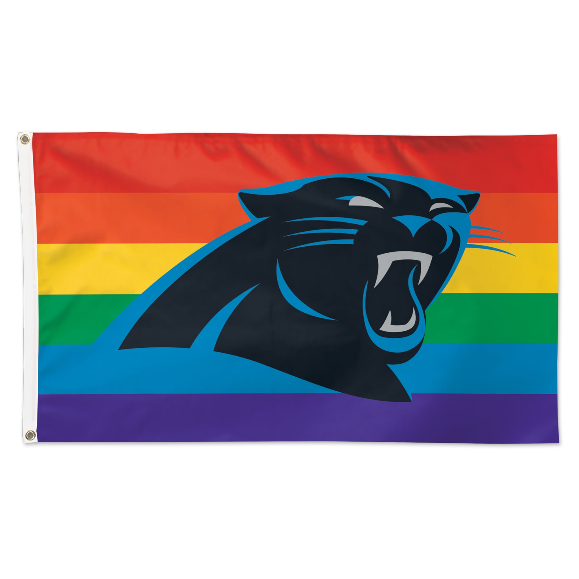 Drapeau de luxe WinCraft Carolina Panthers 91 x 152 cm (3 pi x 5 pi) Pride, face simple