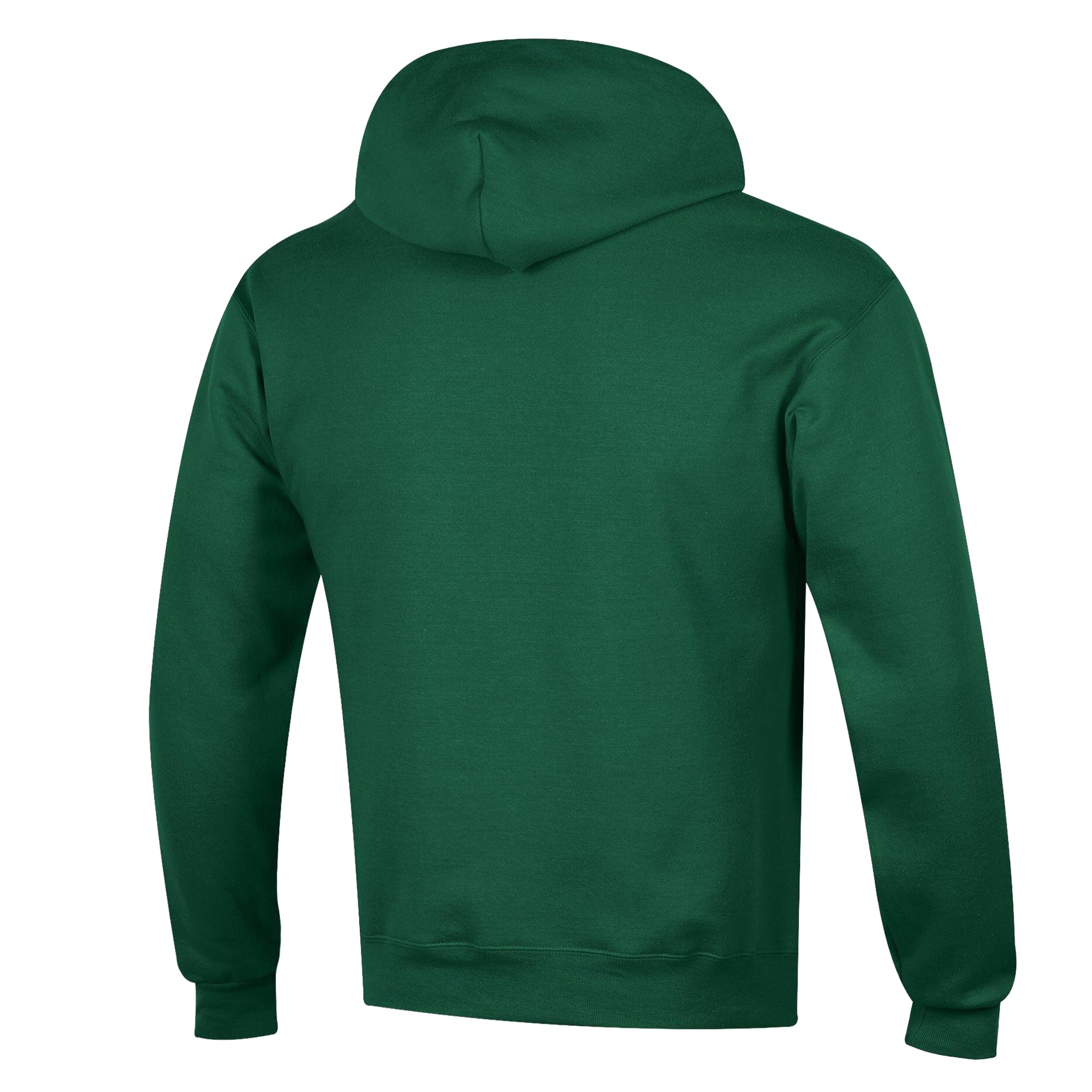 Sweat à capuche Champion vert Charlotte 49ers Powerblend pour homme