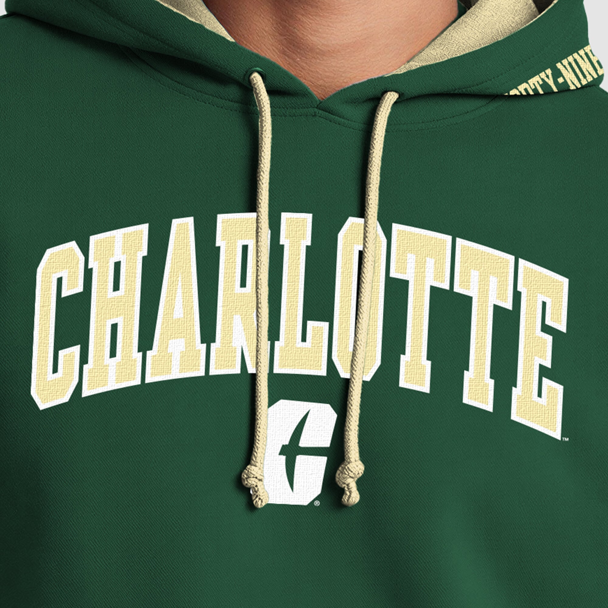 Sweat à capuche contrasté vert et or des Charlotte 49ers pour homme, de la marque Champion.