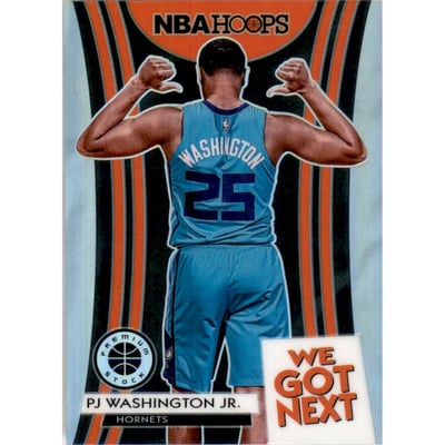 2019-20 Hoops Premium Stock We Got Next Holo #17 PJ Washington Jr.