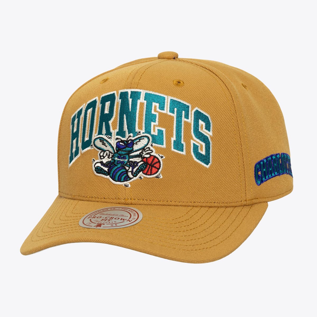Mitchell & Ness Charlotte Hornets Snapbacks Hats | Mitchell & Ness ...