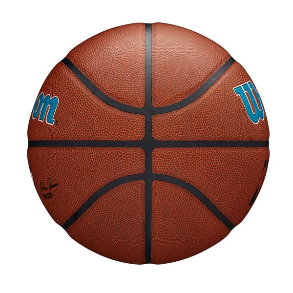 charlotte-hornets-nba-ball- 