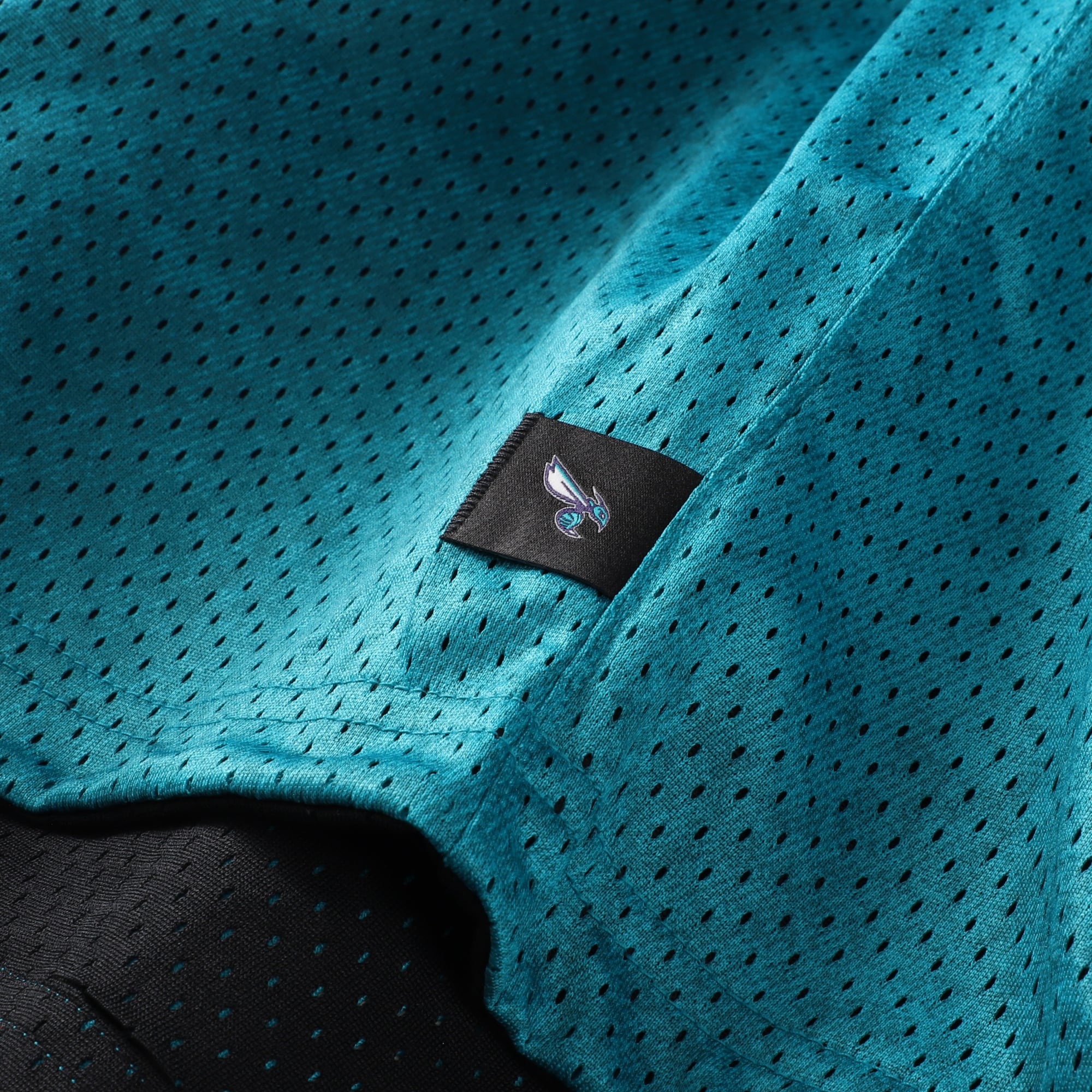 Maillot réversible Jordan Brand bleu sarcelle/noir Charlotte Hornets 2026 Standard Issue Practice Icon Mesh pour homme