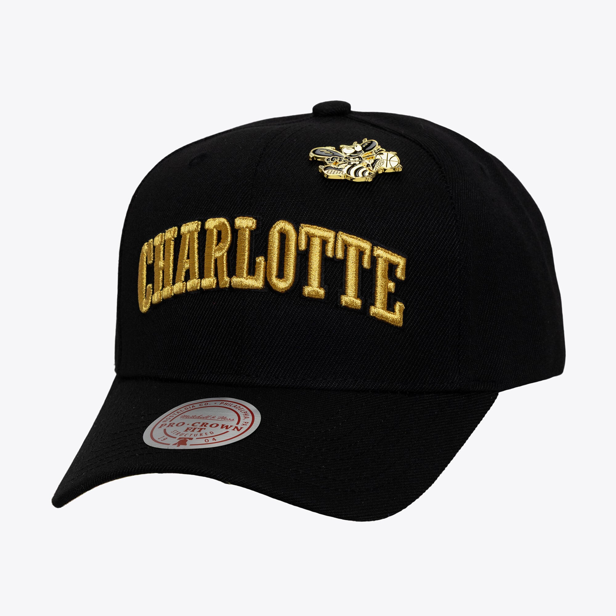 Men's Mitchell & Ness Black Charlotte Hornets Hardwood Classics Pinned Gold Pro Crown Snapback Hat