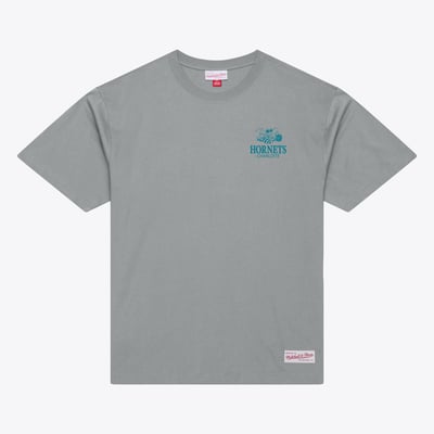  Charlotte Hornets Mitchell & Ness Core Essentials T-Shirt - Gray