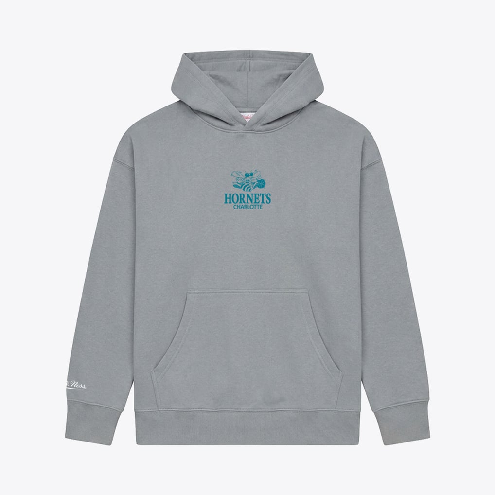 Charlotte Hornets Mitchell & Ness Core Fleece Hoodie - Gray