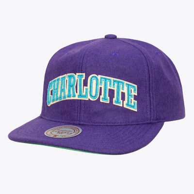 Charlotte Hornets Mitchell & Ness Hardwood Classics Retro Roots Vintage Adjustable Hat - Purple

