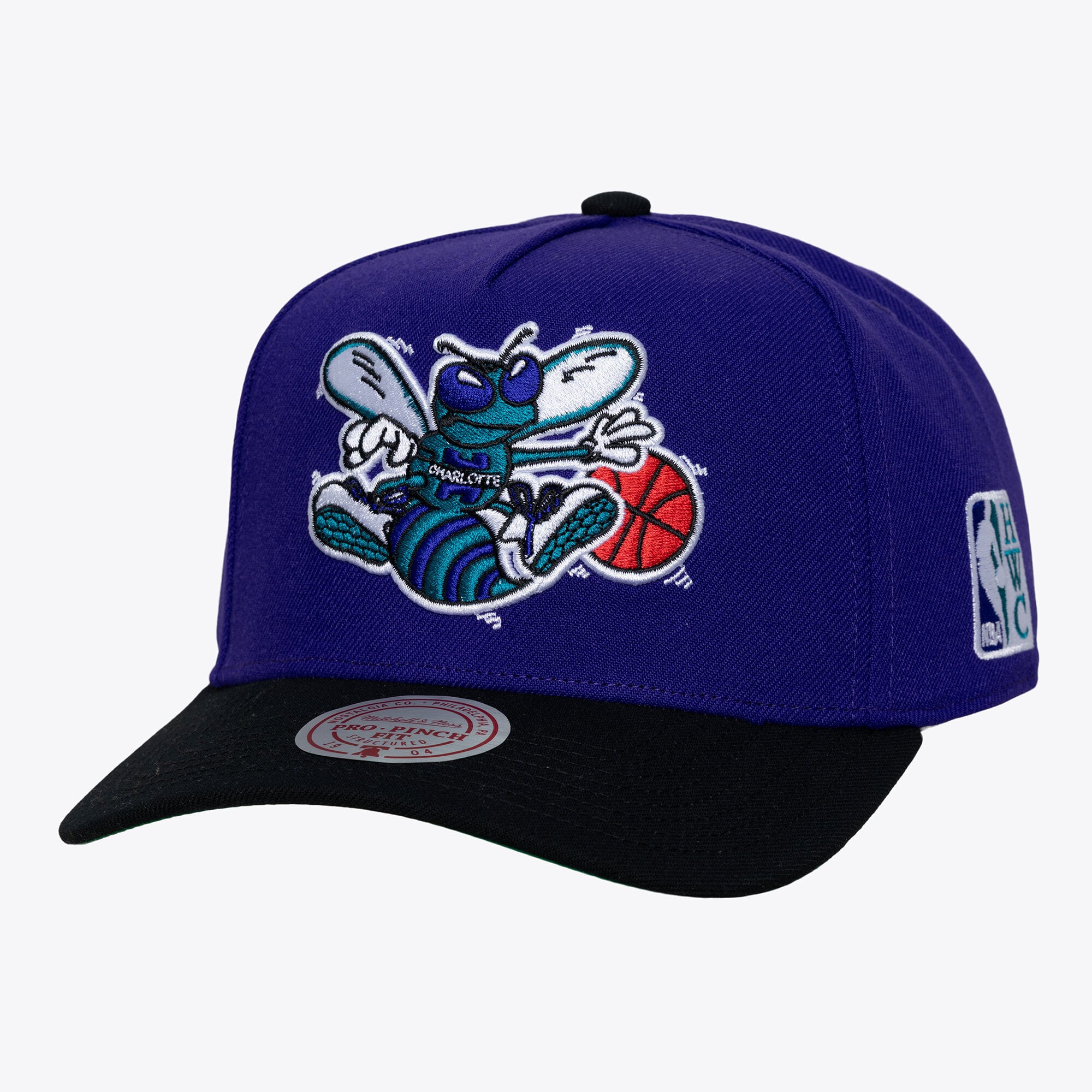 Men's Charlotte Hornets  Mitchell & Ness Purple Legendary Home Pro Pinch Snapback Hat