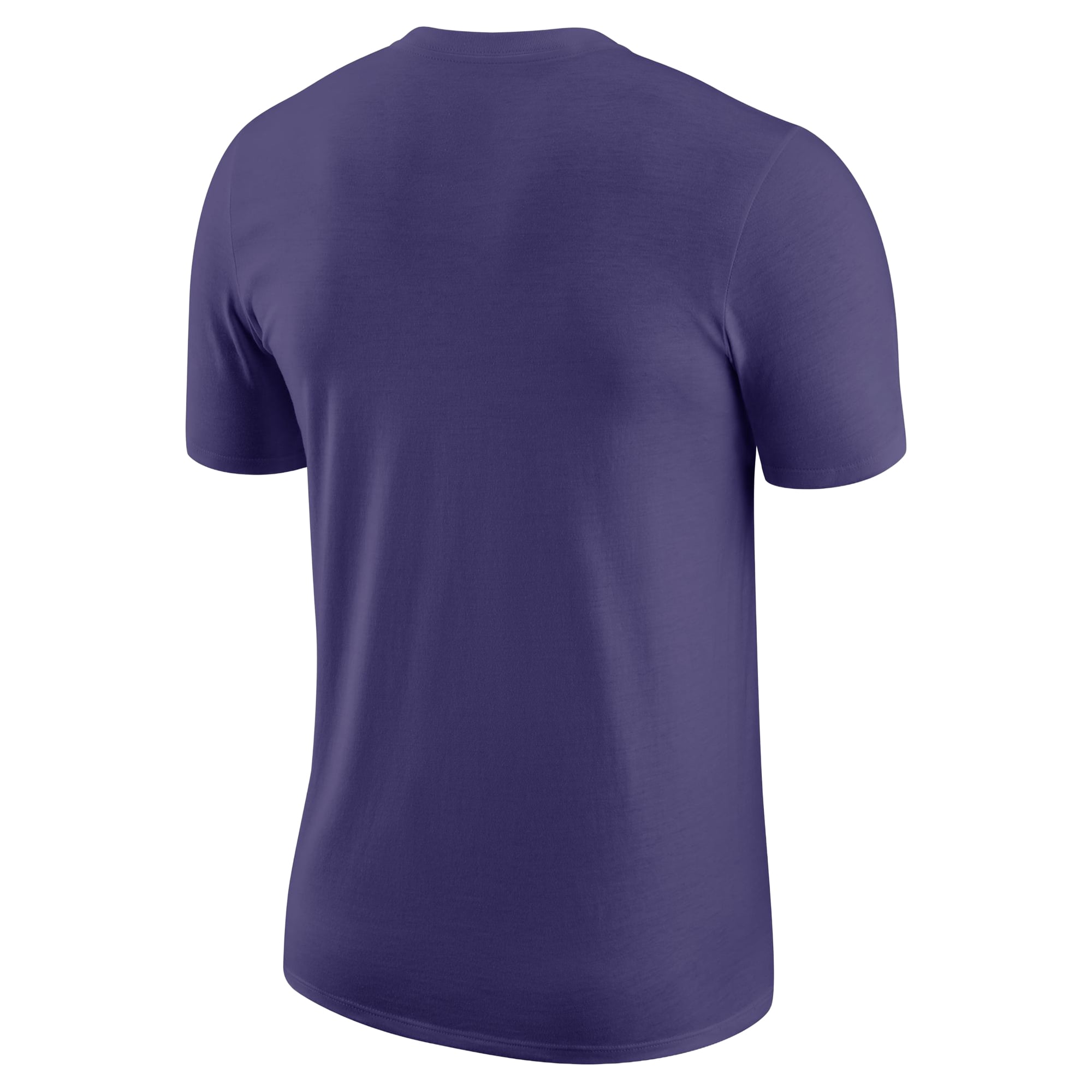 Men's Nike Purple Charlotte Hornets Essential T-Shirt