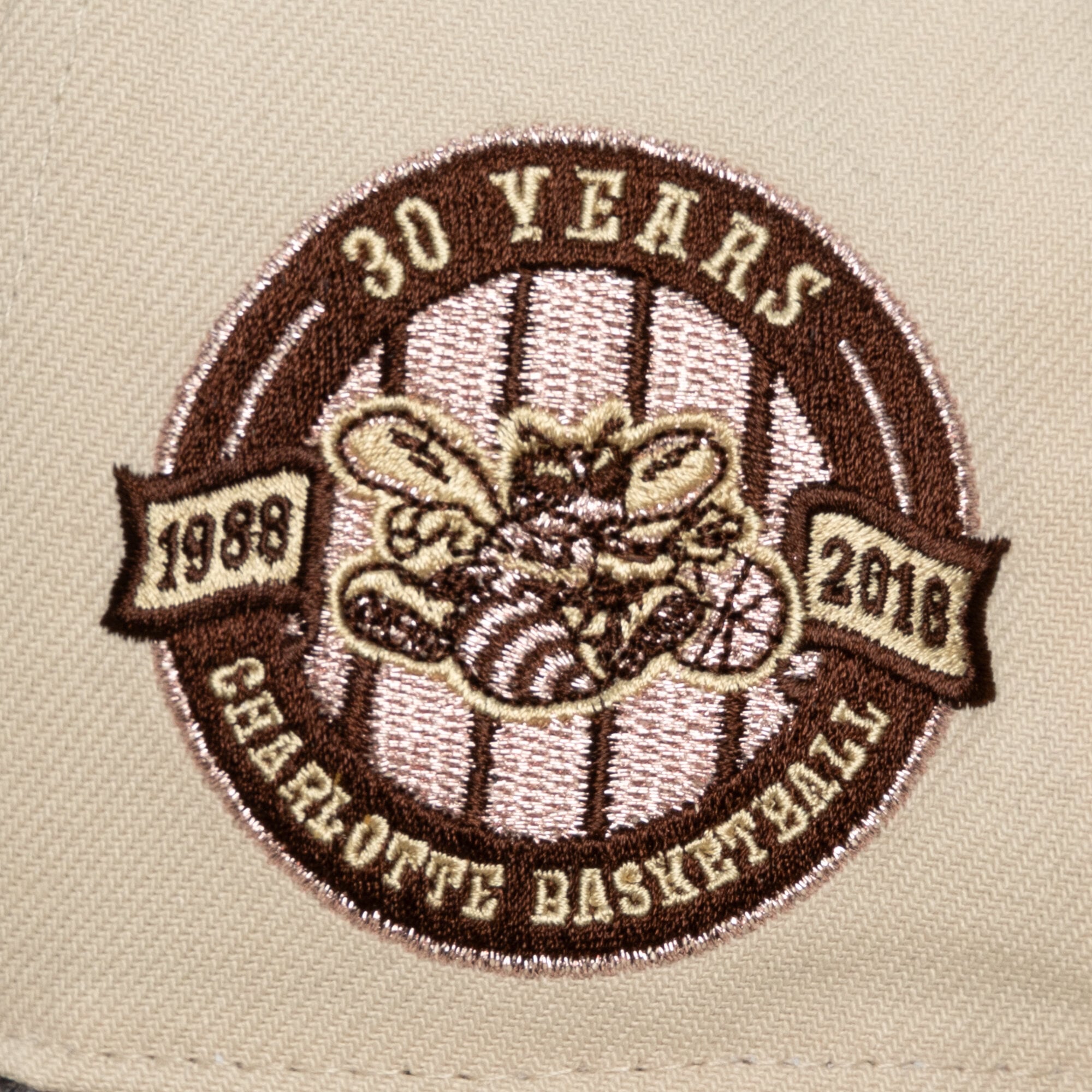 Casquette unisexe Mitchell & Ness Cream Charlotte Hornets Hardwood Classics Automne Rose Pro