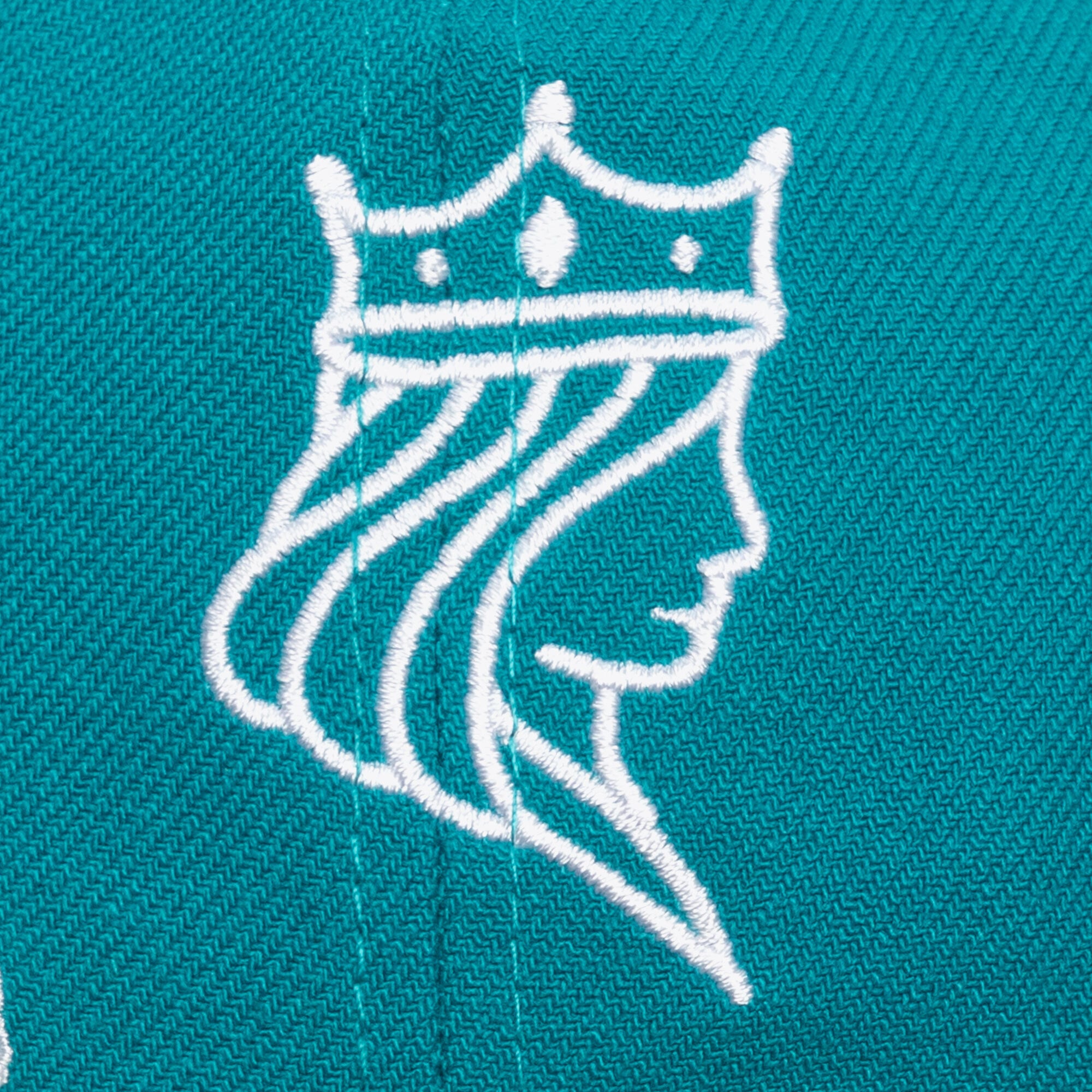 Casquette unisexe Mitchell & Ness Teal Charlotte Hornets Downtown Doodle Pro