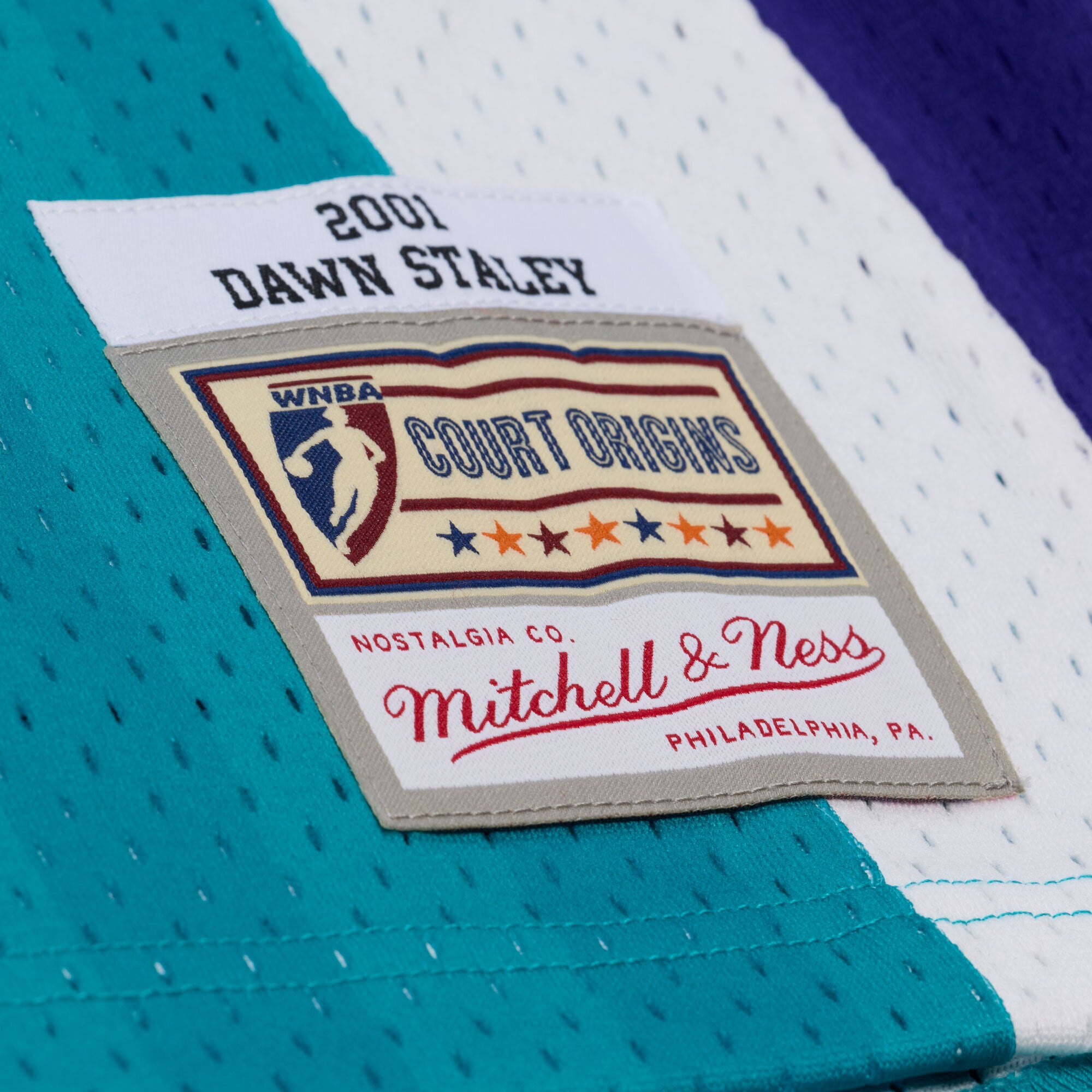 Unisex Mitchell & Ness Dawn Staley Teal Charlotte Sting 2001 Swingman Jersey - Court Origins